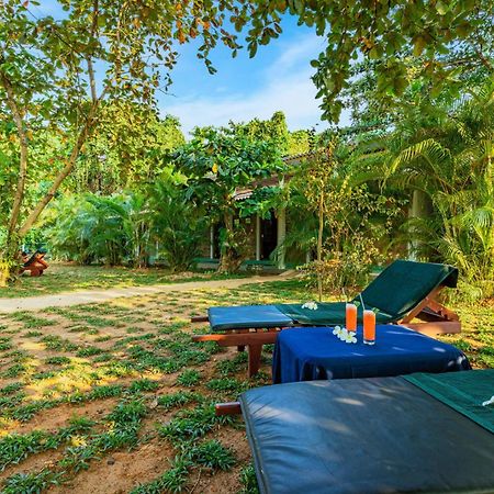 Sath Villa Naadi Ayurveda Resort Moragalla Bagian luar foto