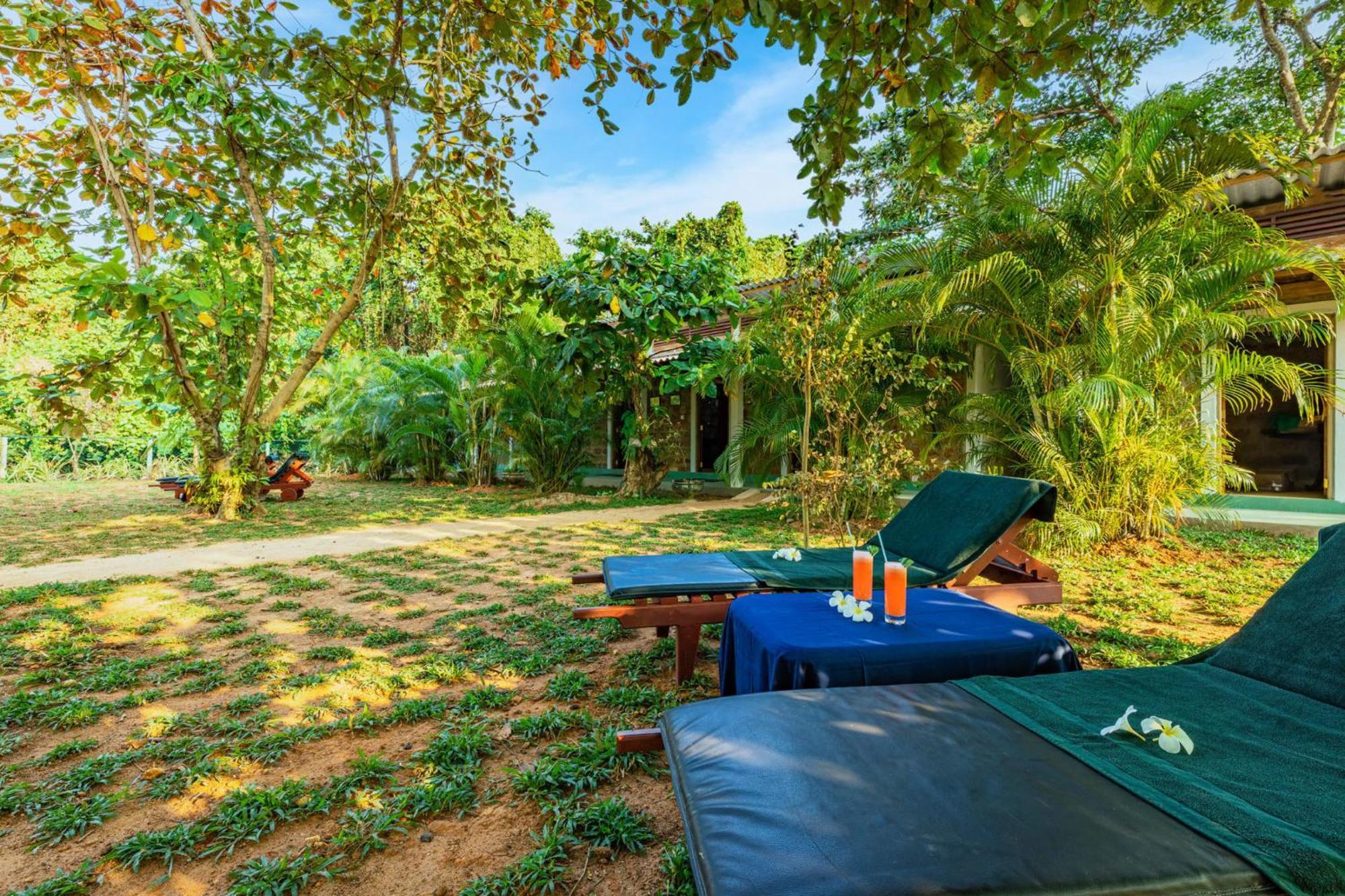 Sath Villa Naadi Ayurveda Resort Moragalla Bagian luar foto